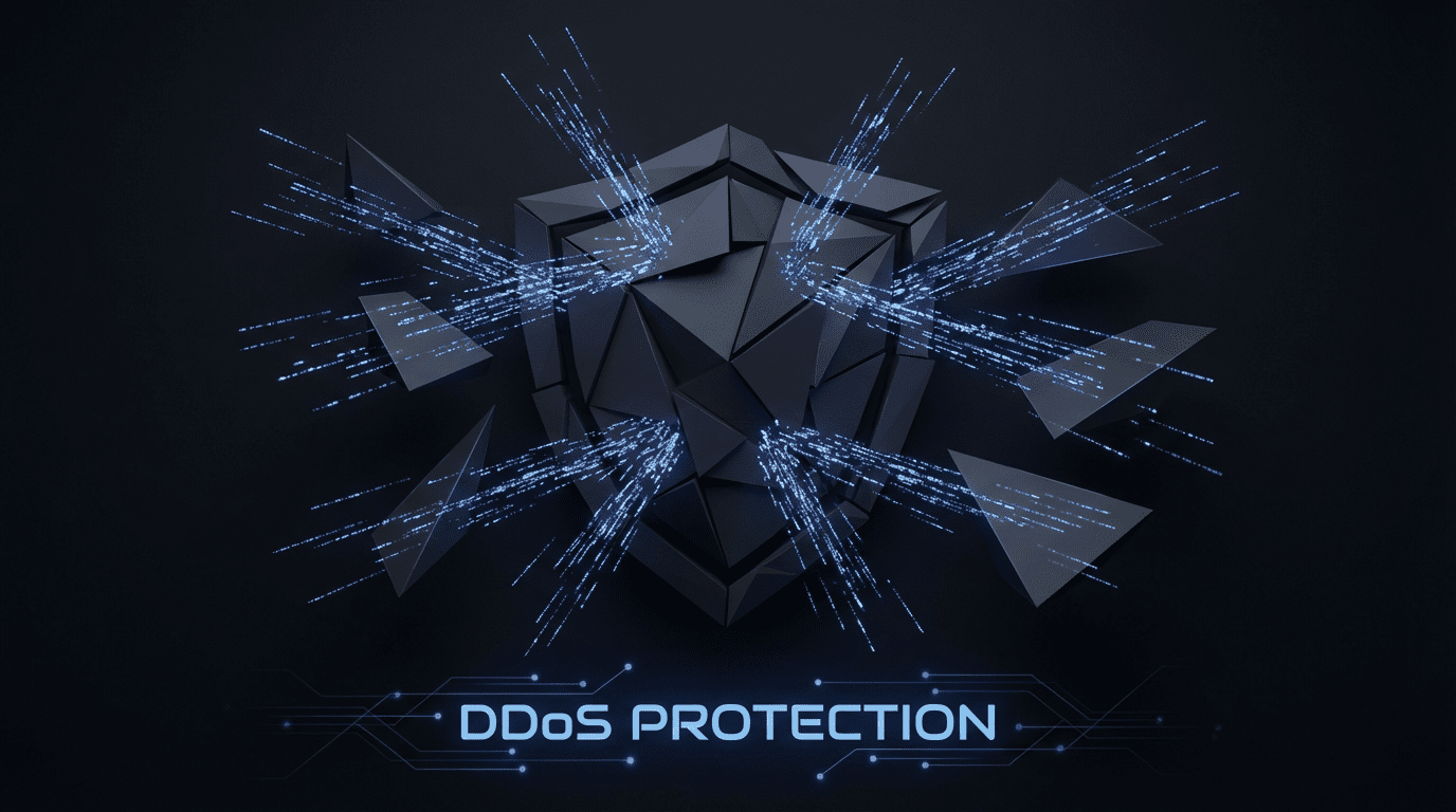 DDoS protection and anti-ddos infrastructure